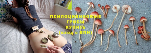 мескалин Аркадак