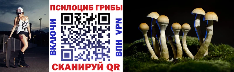 Купить закладки  Перевоз  Псилоцибиновые грибы Magic Shrooms 