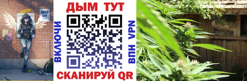 Канабис OG Kush  Купить  Перевоз 